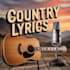 create professional country music video with lyrics