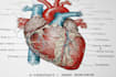 create medical and anatomical illustrations