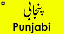 teach you punjabi language professionally