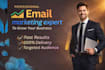 setup and manage professional email marketing campaign