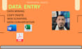 do accurate data entry,copy paste, web research and data mining job
