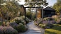 design garden, pool, patio, yard, terrace, and landscape 3d model and render