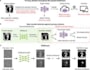 develop custom privacy safe synthetic data for your ai, ml model deep learning