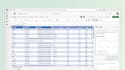 do accurate excel data entry and formatting