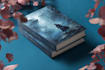 design fantasy book cover