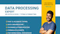 be your data processing expert, ms office for fast typing formatting data