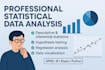 do statistical data analysis in python, spss, rstudio, excel
