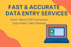 do fast and accurate file format  conversions