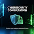 provide expert cyber security consultation