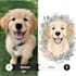 create premium handdrawn pet illustrations print ready