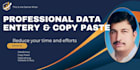 do accurate copy paste and data entery services