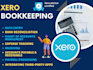 bookkeeping, clean up, catch up, and reconciliation in xero