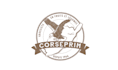 design an eagle, falcon, hawk, animal logo