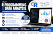 do r coding and programming using python, r or excel