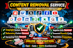 delete,remove,takedown,content from,reddit,tiktok,facebook,google,ig,yt by dmca