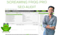 create a SEO audit of your site using screaming frog pro