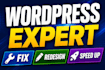 design, redesign wordpress website
