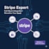 implement a complete stripe payment platform for your saas