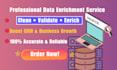 do professional data enrichment and lead enhancement services