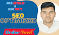 do bulk seo optimized articles and blog posts for you