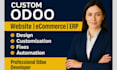 be your odoo expert, odoo erp website design and ecommerce developer