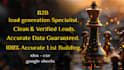deliver targeted b2b verified lead generation with clean data delivery