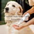 create custom natural and safe pet care formulations