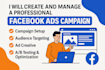 create and manage facebook ads campaign