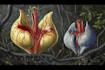 do medical and scientific illustrations