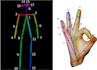 keypoint and segmentation masks annotation