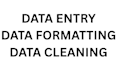 enter data and write excel formulas