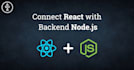 build a full stack react and node js web app