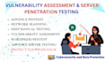 do penetration testing and vulnerability assessment for websites and servers