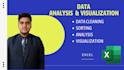 professionally analysis and visualize your excel data with graphs and charts