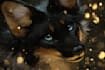 draw anime art style furry characters