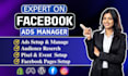 be your facebook ads manager