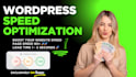 do premium speed optimization for wordpress, fix the backend