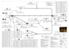 create professional wiring harness 2d manufacturing drawings