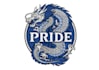 design modern dragon logo