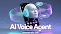 ai voice agent developer , vapi and retell ai cold calling