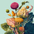 draw best botanical illustration