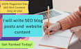 write seo blog posts and website content
