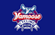 design cycling team vamoose logo