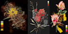 do textile printing color separation tshirt printing and design