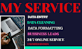 do data entry lead to data analyst