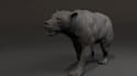 create stunning 3d creatures, realism animal animation, vfx compositing