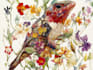 draw an animal and botanical illustration