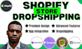 build shopify website design dropshipping shopify ecommerce website development