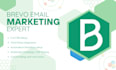 setup your brevo beehiiv CRM email marketing