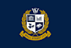 create attractive stunning school logo design